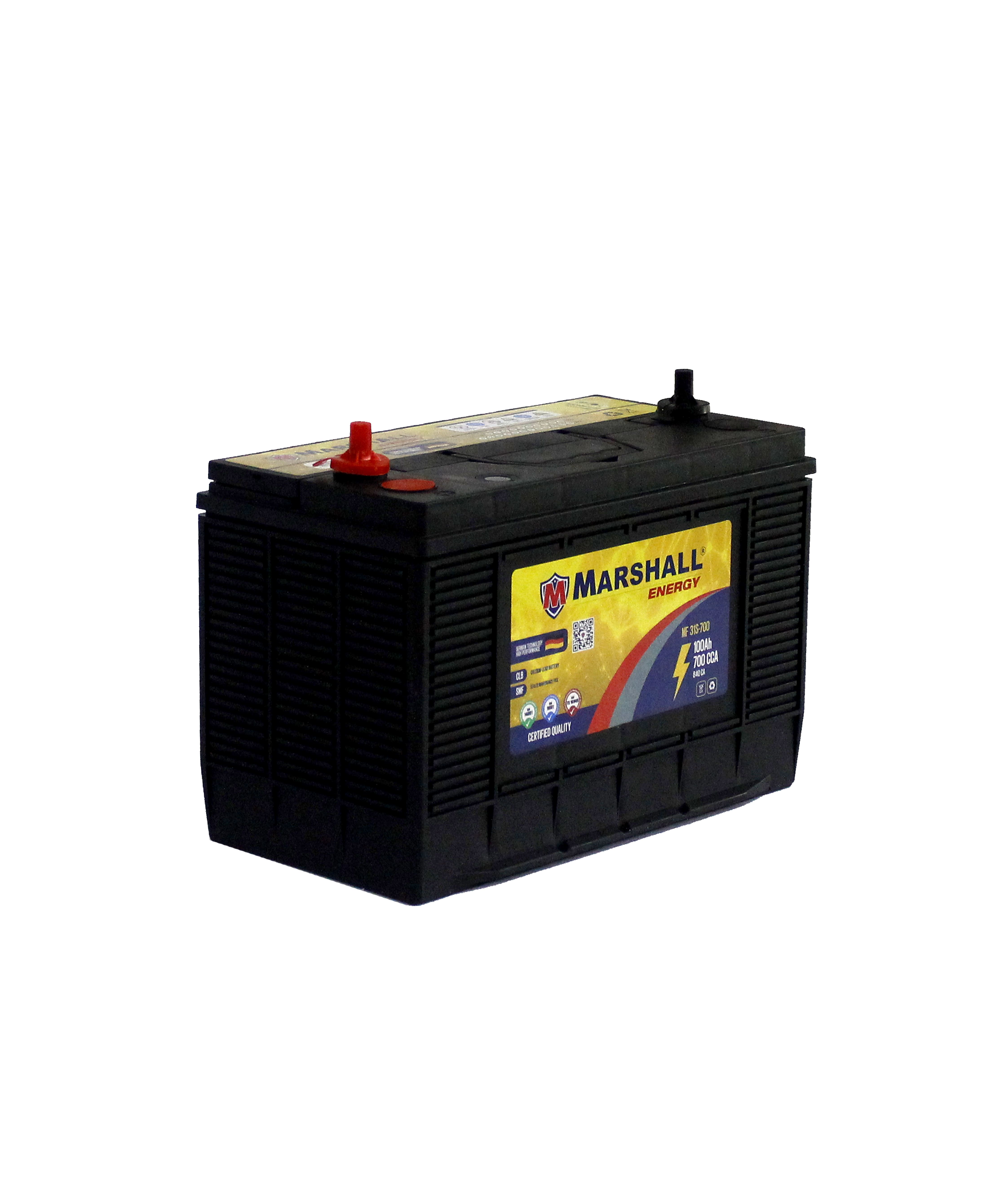 BATERIA C31S-700 100 Ah, 700 CCA - CLASE 8, UN 2794