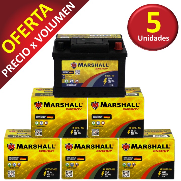 PROMOx5 BATERIA MF55457-450 CLASE 8, UN 2794 -55 Ah, 450 CCA
