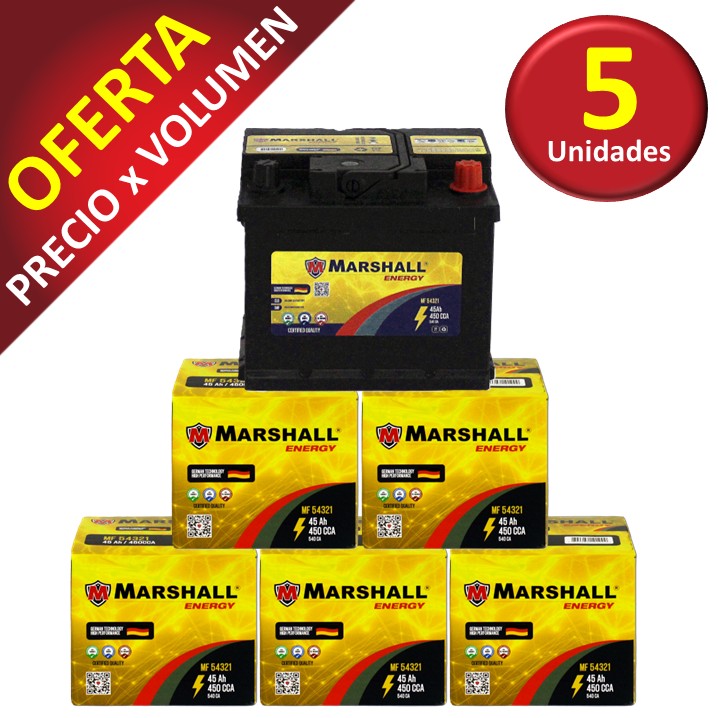 PROMOx5 BATERIA MF54321 CLASE 8, UN 2794 - 45 Ah, 450 CCA
