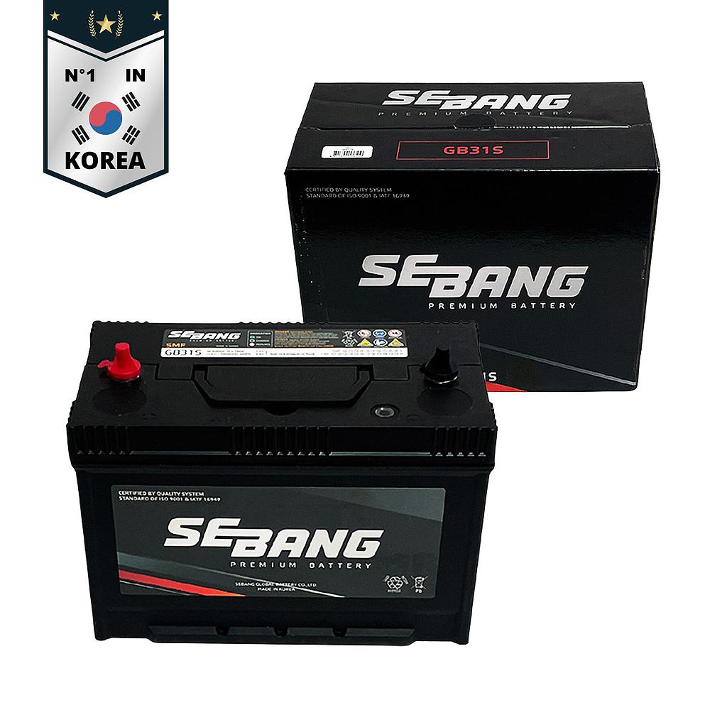 SEBANG GB31S CLASE 8 UN2794-100Ah 930CCA