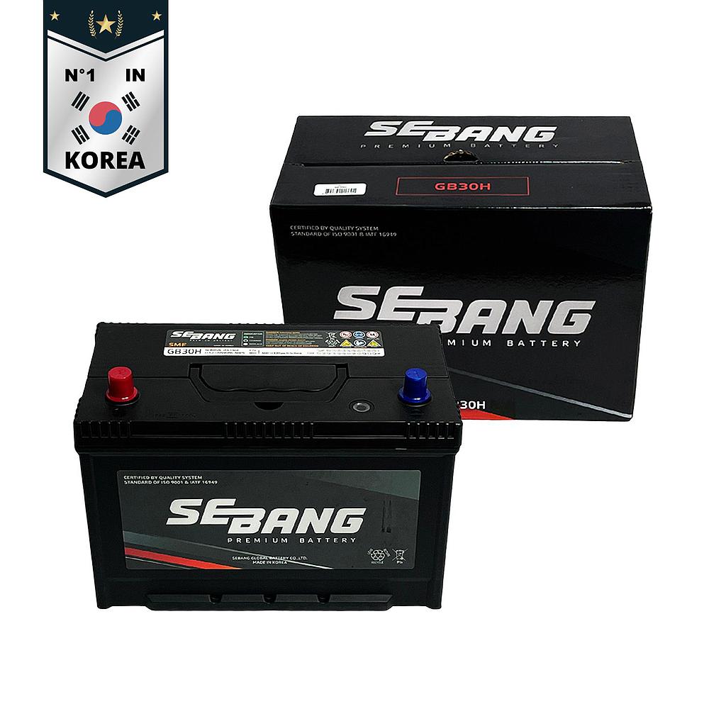 SEBANG GB30H CLASE 8 UN2794-100Ah 860CCA