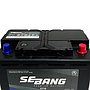 SEBANG EFB L3 CLASE 8 UN2794-70Ah 650CCA