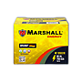 MARSHALL MF105D31R CLASE 8 UN2794-90Ah 700CCA