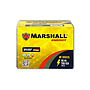 MARSHALL MF105D31L CLASE 8 UN2794-90Ah 700CCA